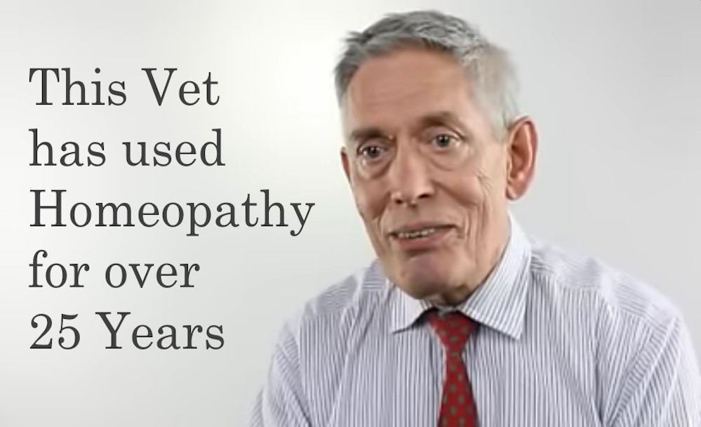 Vets and Homeopathy